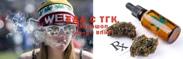 стаф Кодинск