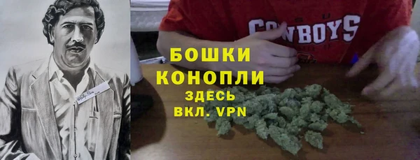 хмурый Козловка