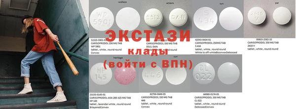 стаф Кодинск