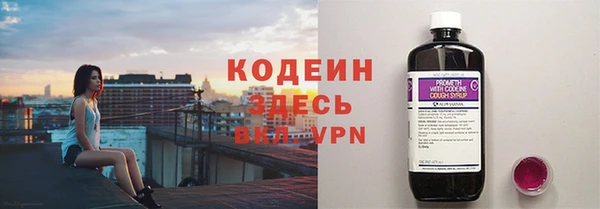 хмурый Козловка