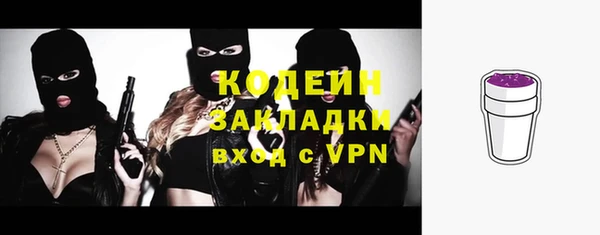 хмурый Козловка