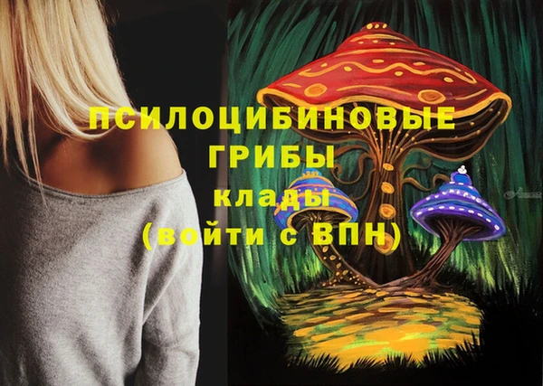 стаф Кодинск
