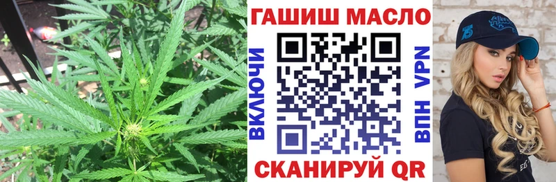 Дистиллят ТГК THC oil  Купить где  Белая Холуница 