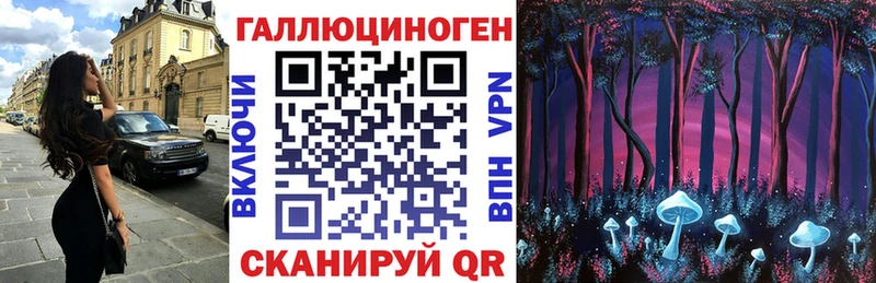 Купить где  Белая Холуница  Псилоцибиновые грибы Magic Shrooms 