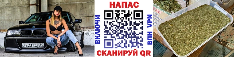 Канабис MAZAR  Купить где  Белая Холуница 